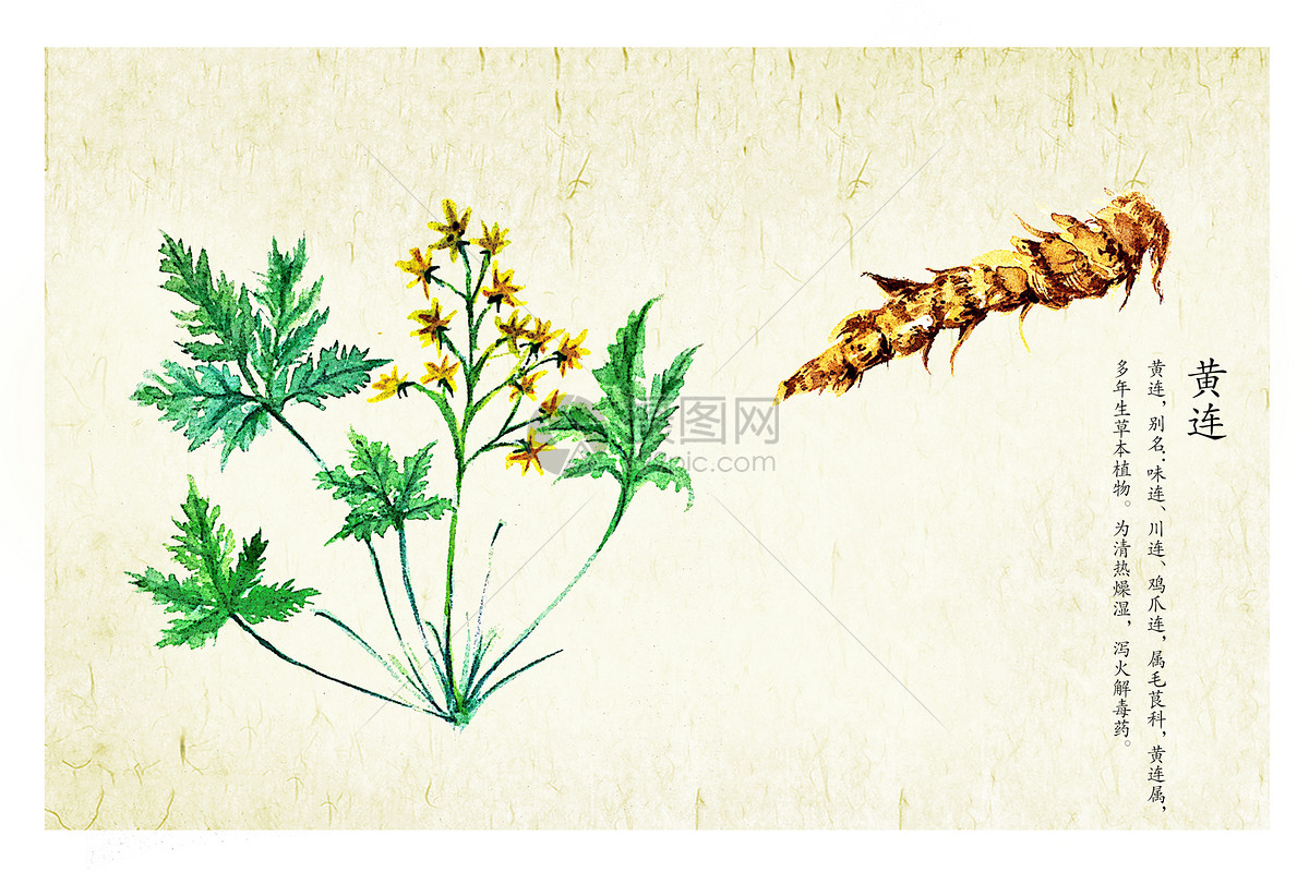 說(shuō)明: 2629.jpg_wh1200