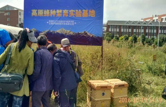 韓國農(nóng)業(yè)協(xié)會(huì)代表團(tuán)一行參觀昆工生科院考察養(yǎng)蜂基地